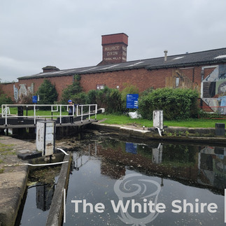 Leeds, Liverpool canal & Holbeck Viaduct Walk. The White Shire Walks.