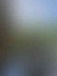 Old Royston Loop. South Yorkshire.