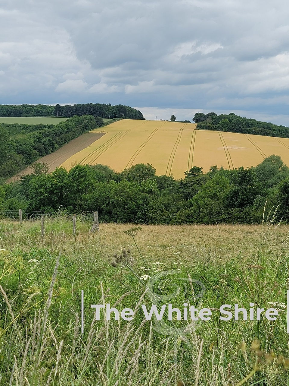 Towton Circular Walk. The White Shire Walks.