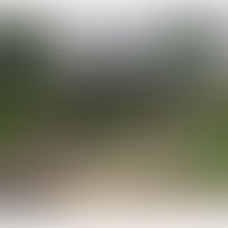 Landscape Design for a Property in Homfirth