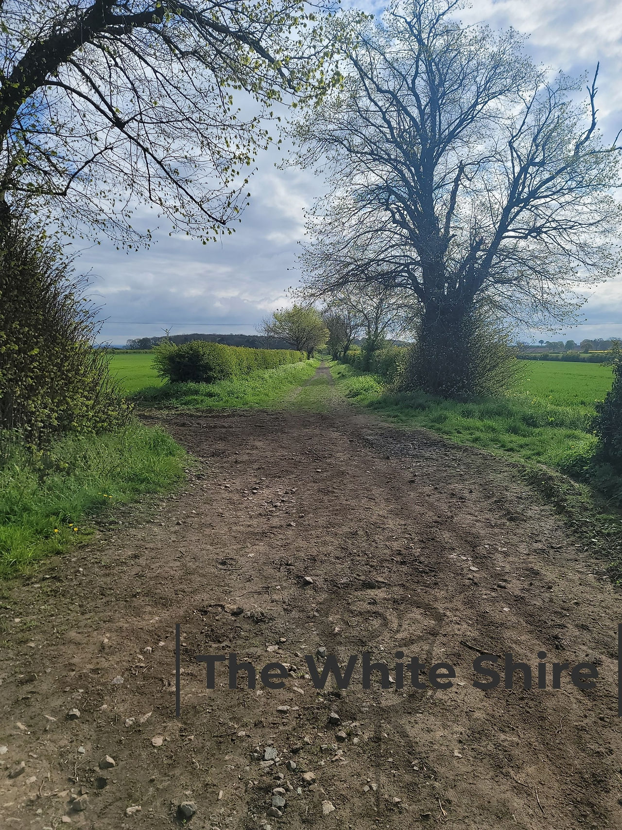 Hooton Pagnell walk