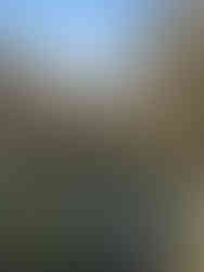 Harden Moor Circular Walk, The White Shire Walks.