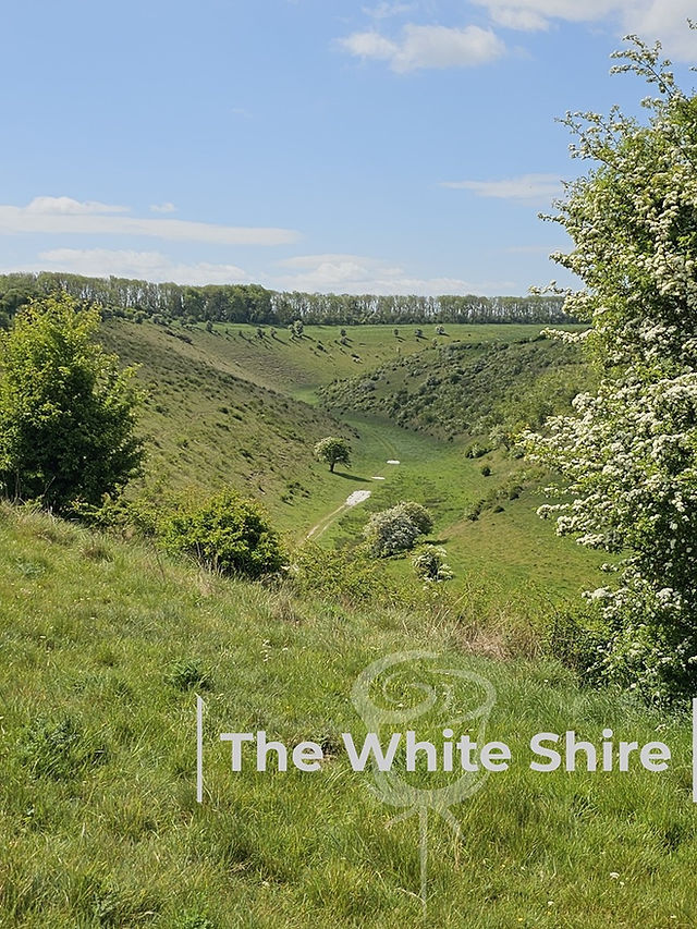 The White Shire Walks