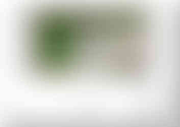 Garden design for a property in Badsworth, West Yorkshire.