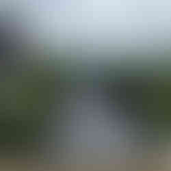 Leeds, Liverpool canal & Holbeck Viaduct Walk. The White Shire Walks.