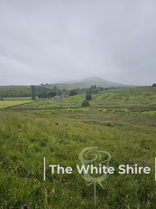Hawes Loop Walk by The white Shire Walks