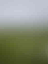 Hawes Loop Walk by The white Shire Walks