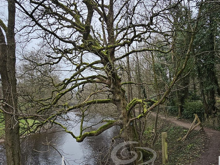 Exploring Pateley Bridge: A Historic Gem in Nidderdale