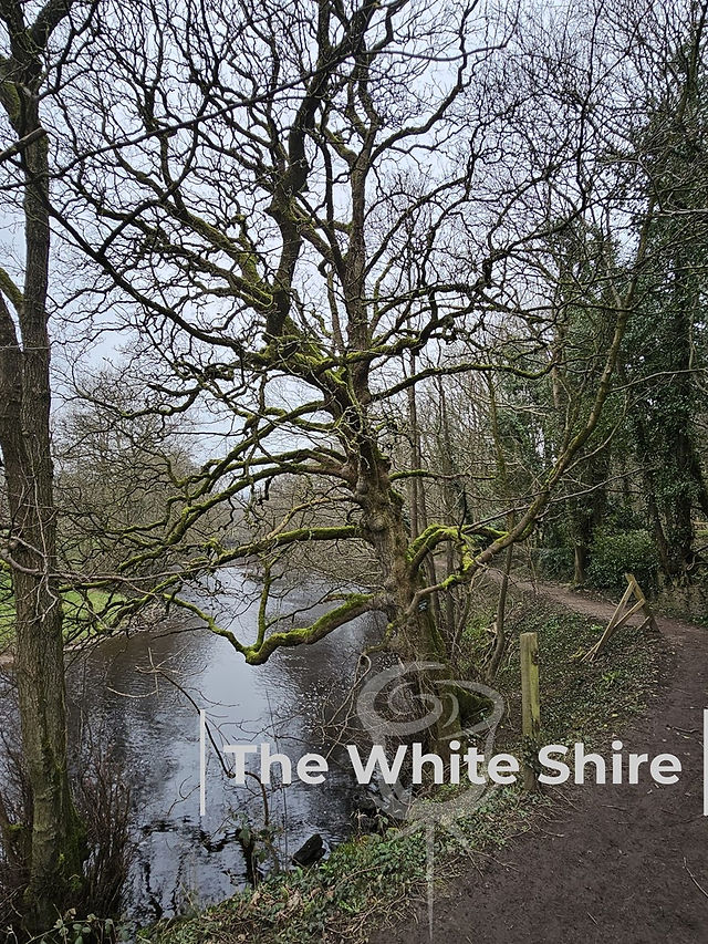 Pateley Bridge Circular, The White Shire Walks