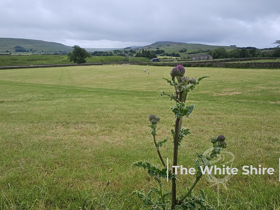 Hawes Loop Walk by The white Shire Walks