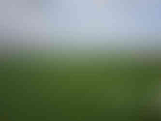 The White Shire Walks