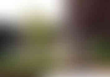 Garden design for a property in Barnsley by MP Landscape & Garden Design Ltd