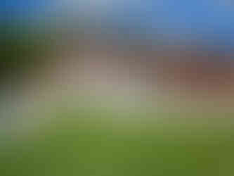 Outdoor kitchen designed by MP Landscape & Garden Design Ltd