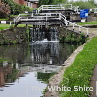 Leeds, Liverpool canal & Holbeck Viaduct Walk. The White Shire Walks.