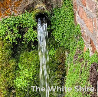Welton loopwalk, East Yorkshire.