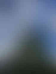 Shipley Glen circular walk by The White Shire Walks