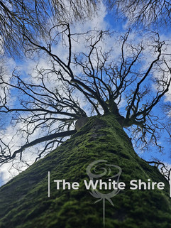 Shipley Glen circular walk by The White Shire Walks