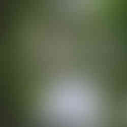 Leeds, Liverpool canal & Holbeck Viaduct Walk. The White Shire Walks.