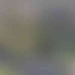 SlaithewaiteThe White Shire. West Yorkshire.