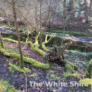 SlaithewaiteThe White Shire. West Yorkshire.