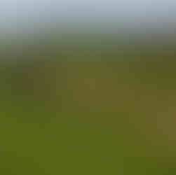 2, The Yorkshire Wolds. The White Shire