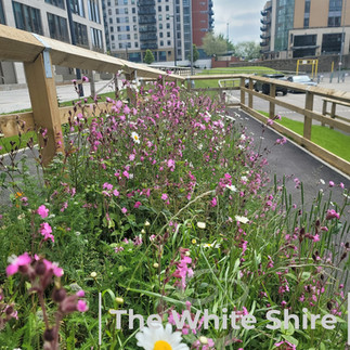 Leeds, Liverpool canal & Holbeck Viaduct Walk. The White Shire Walks.