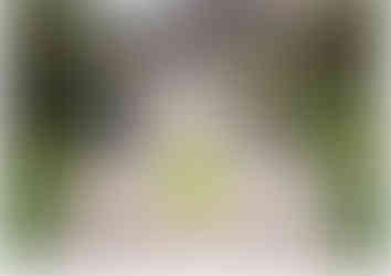 Landscape design plans for a property in Pontefract, by MP Landscape & Garden Design Ltd.