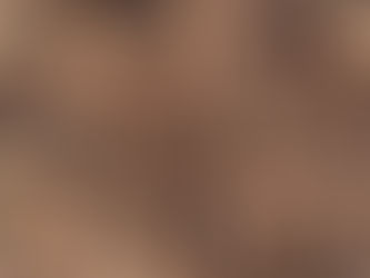 Bark Mulch vs Decorative
Wood Chippings