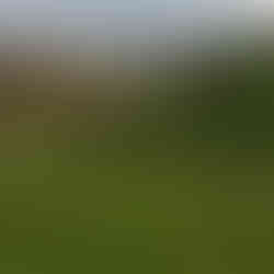4, The Yorkshire Wolds. The White Shire