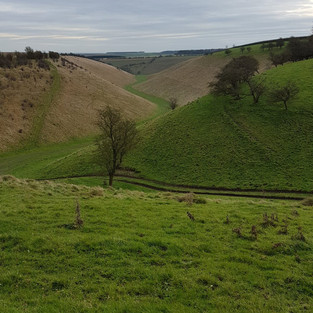 4, The Yorkshire Wolds. The White Shire