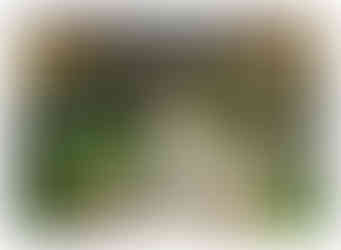 Garden design fro a property in Wakefield by MP Landscape & Garden Design Ltd