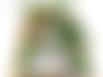 Two-Tiered Retreat by MP Landscape & Garden Design