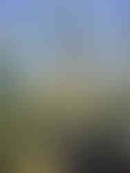 Shipley Glen circular walk by The White Shire Walks