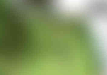 Landscape design plans for a property in Pontefract by MP Landscape & Design Ltd.