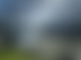 Chapeltown Woods – A Brief History for Yorkshire Walkers