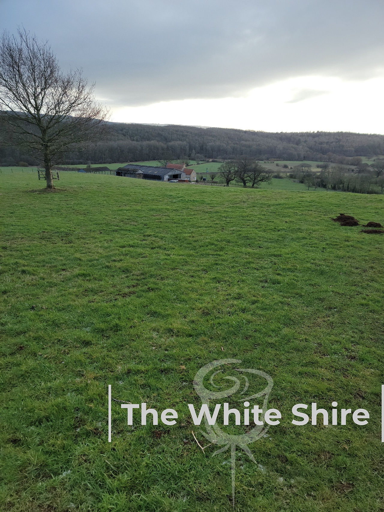 Kirkham Priory loop walk, North Yorkshire.