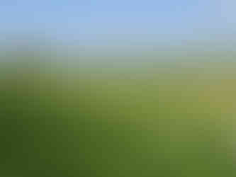 The White Shire Walks