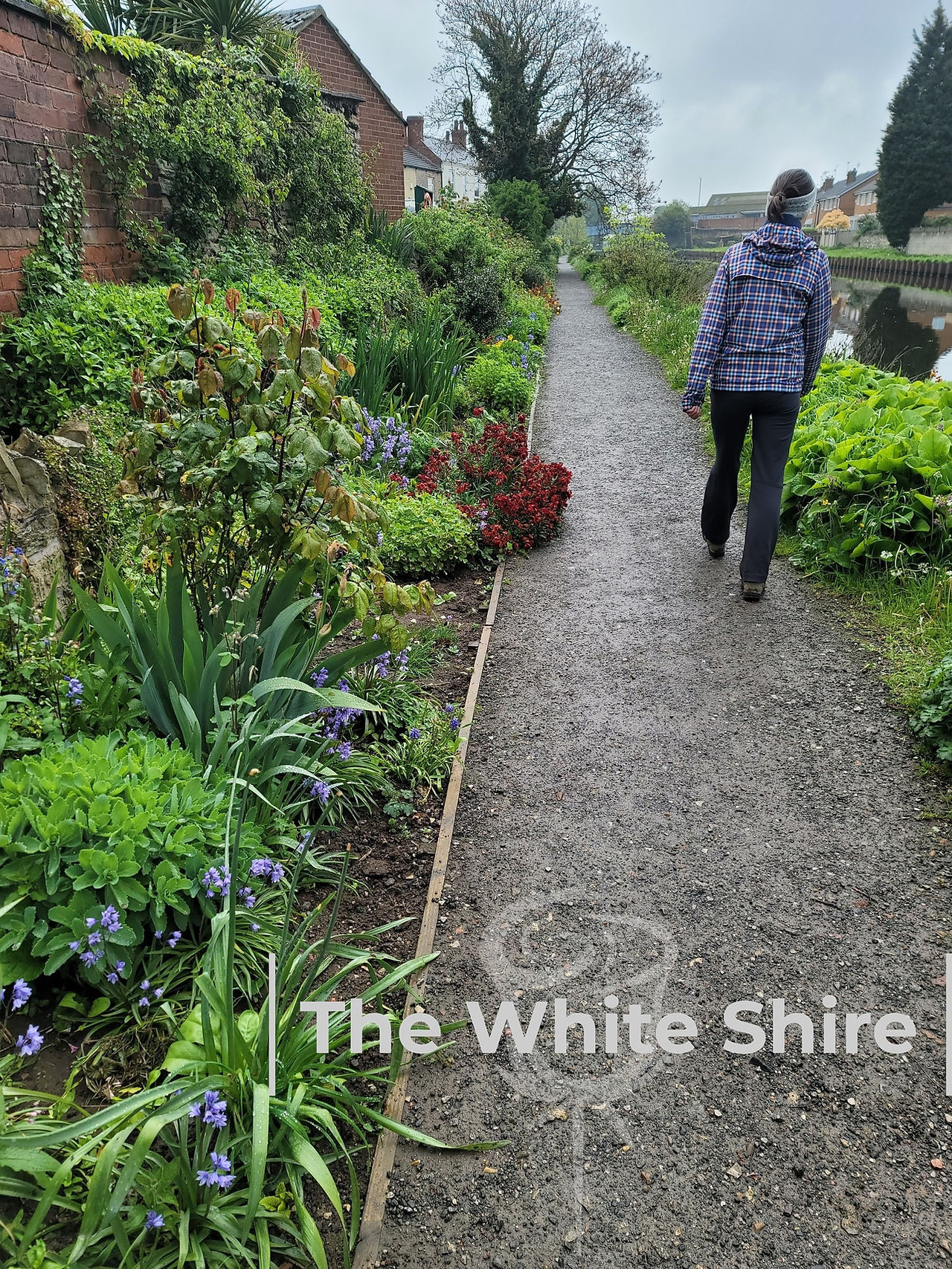 Ferrybridge, canal and river Aire walk. The White Shire.