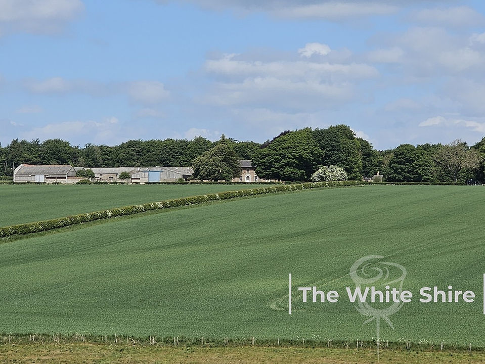 The White Shire Walks