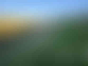 Huggate Circular Walk, The White Shire Walks.