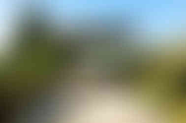 Louvered pergola. Food & Fire Outdoor Living.