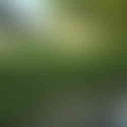 Nostell Priory walk West Yorkshire