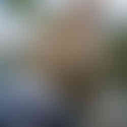 Thwaites Watermill to Leeds Dock Circular. The White Shire Walks.