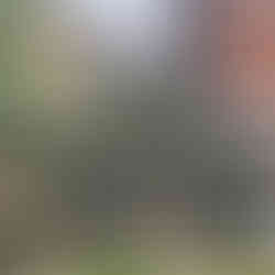 Leeds, Liverpool canal & Holbeck Viaduct Walk. The White Shire Walks.