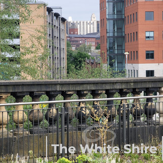Leeds, Liverpool canal & Holbeck Viaduct Walk. The White Shire Walks.