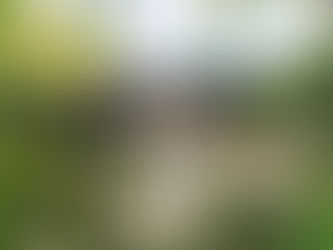 The Benefits of an Outdoor Room or Summerhouse