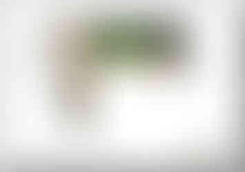 2, Colour concept plan,1 for a rear garden in Wakefield