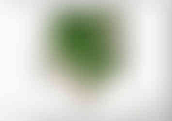 2, Colour concept plan-1 for a property in Darrington