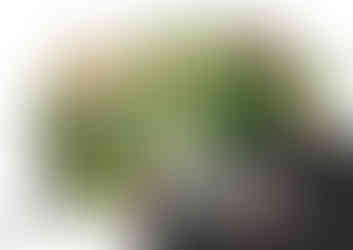 Landscape design plans for a property in Pontefractby MP Landscape & Design Ltd.