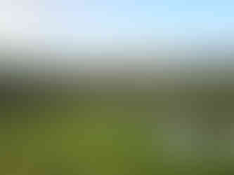 Harden Moor Circular Walk, The White Shire Walks.